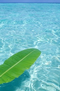 为了处理字符串方便，C++提供了很多字符串处理函数