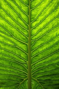 为了处理字符串方便，C++提供了很多字符串处理函数